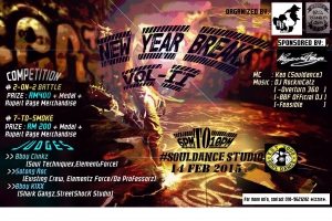 New Year Breaks 2015