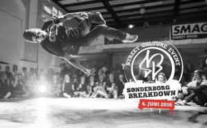 Sønderborg Breakdown 2016