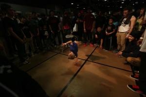 Bashville Stampede 12