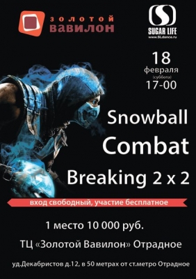 Snowball Combat 2017