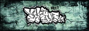 Vile Style 2017