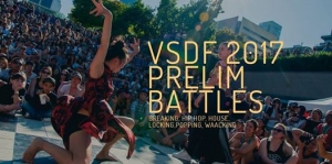 VSDF Prelims 2017