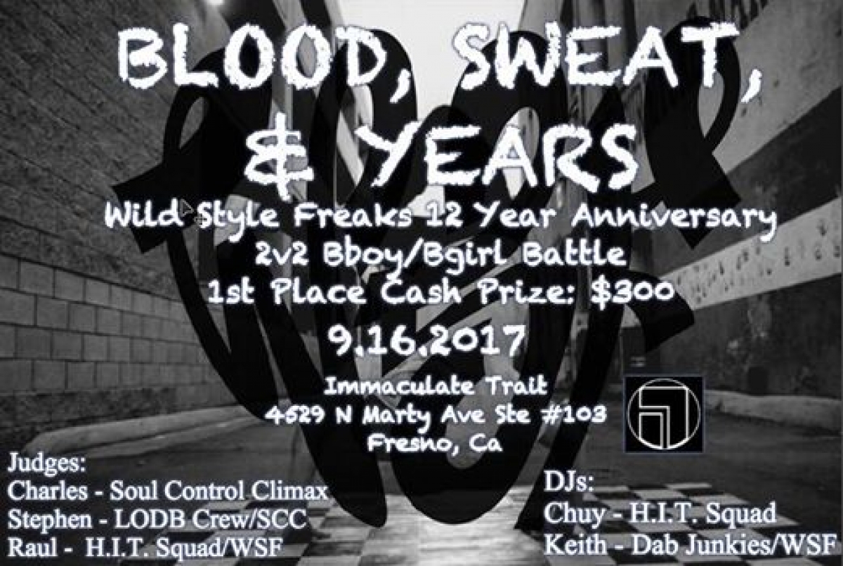 Wild Style Freaks 12 Year Anniversary Jam 2017 poster