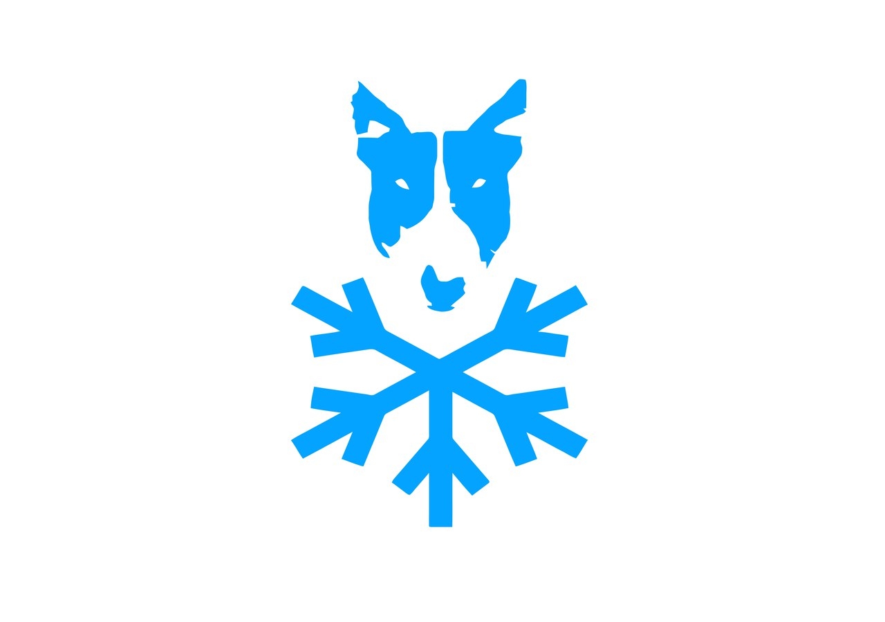 Power Move Camp - Winter edition 2017 poster