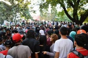 BeraFree Freestyle 2018