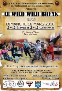 WILD WILD BREAK 2018