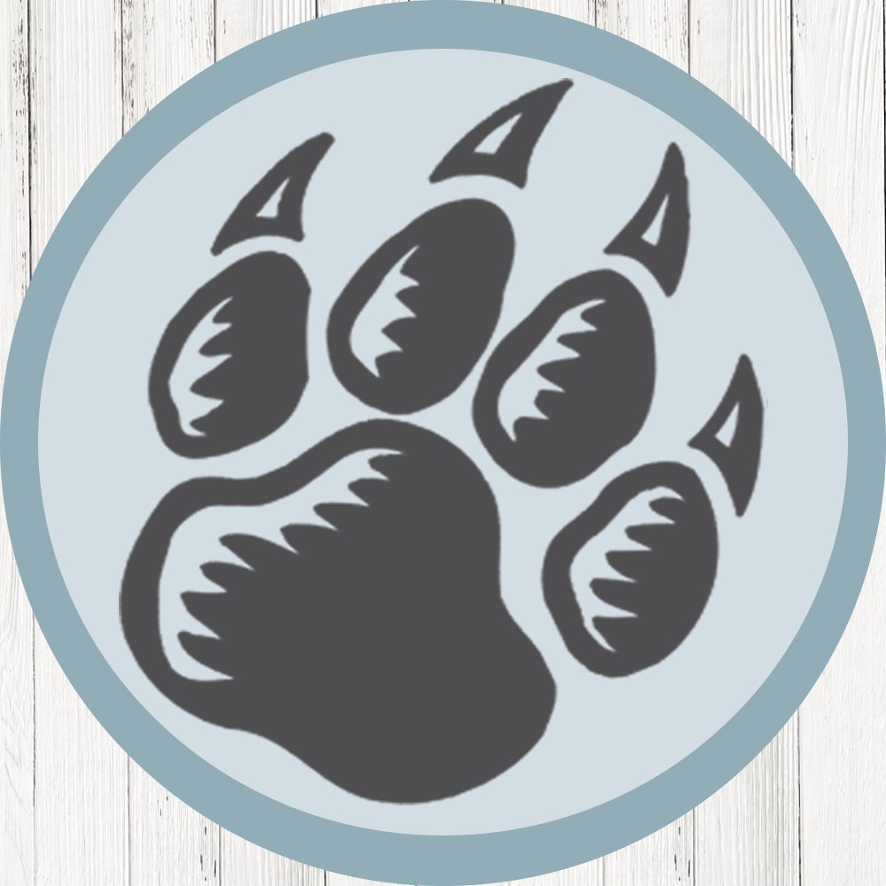 Siberian Breaking Cup 3 poster