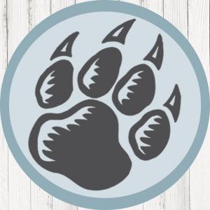 Siberian Breaking Cup 3