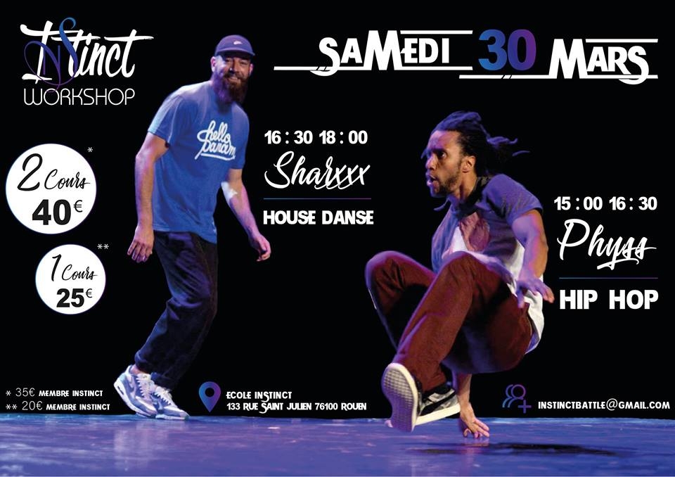 Instinct Workshop 2019 poster