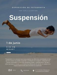 SUSPENSIÓN 2019