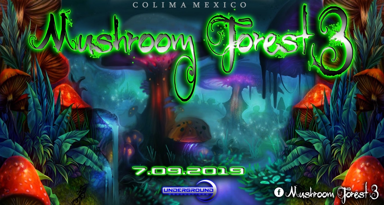 Mushroom Forest  2019 poster